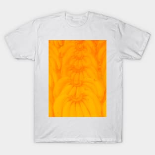 Banana bunches in symmetric ord T-Shirt